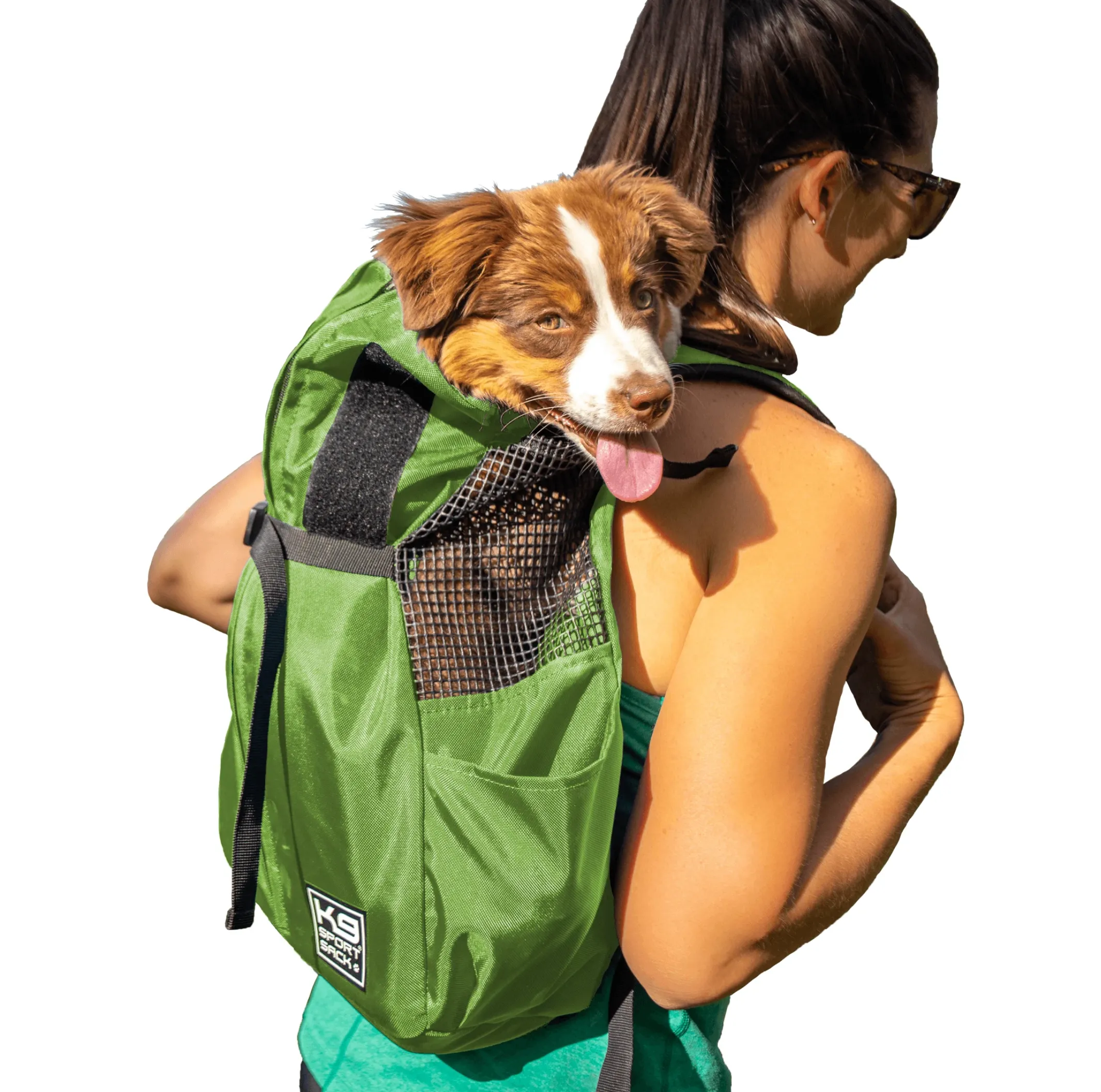 Trainer | Puppy & Small Dog Carrier - Iron Gate