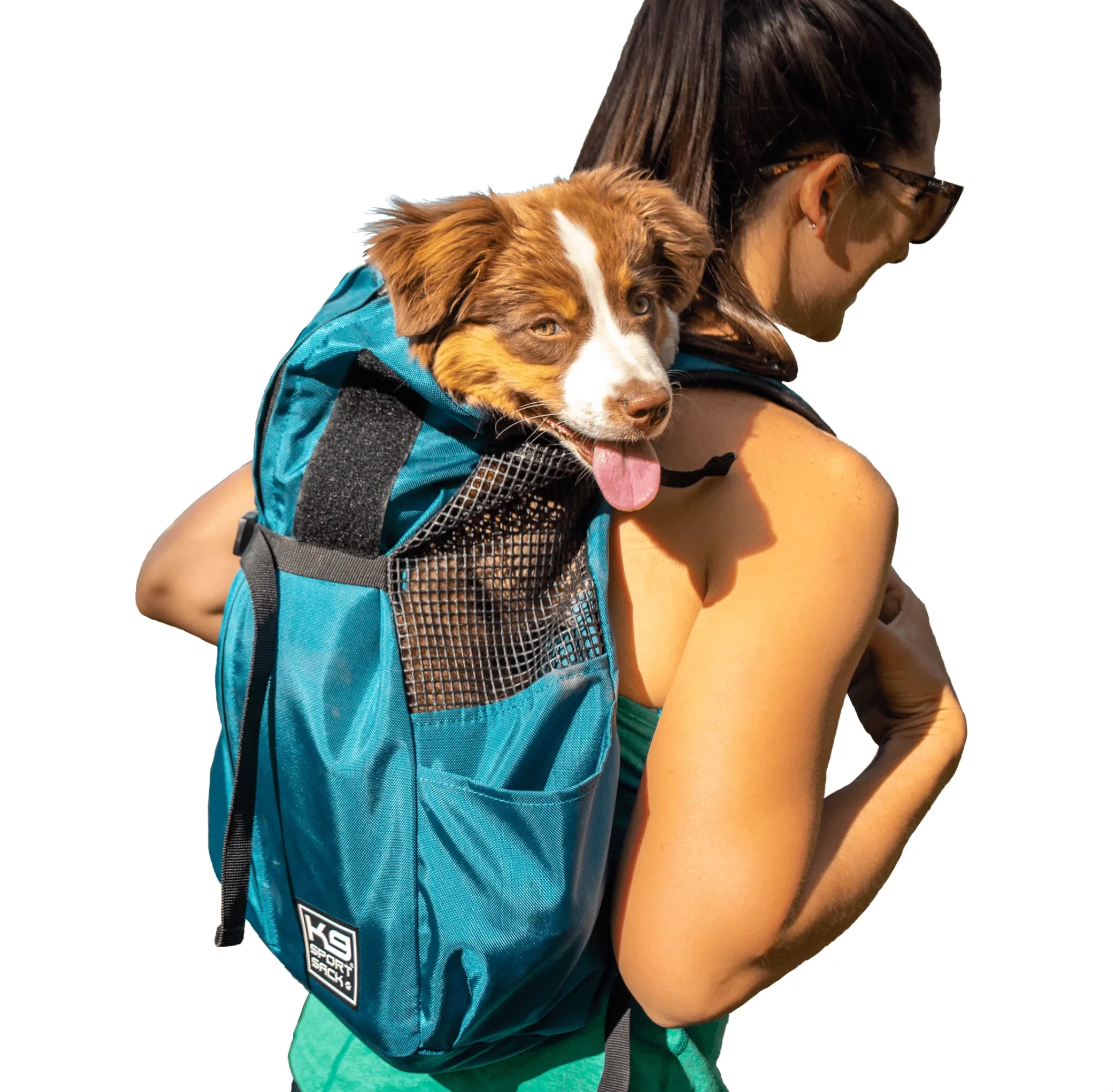 Trainer | Puppy & Small Dog Carrier - Iron Gate