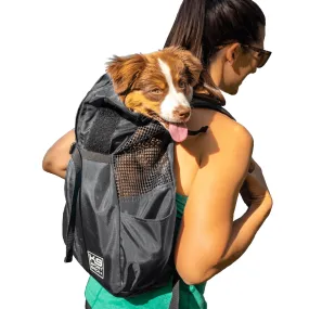 Trainer | Puppy & Small Dog Carrier - Iron Gate