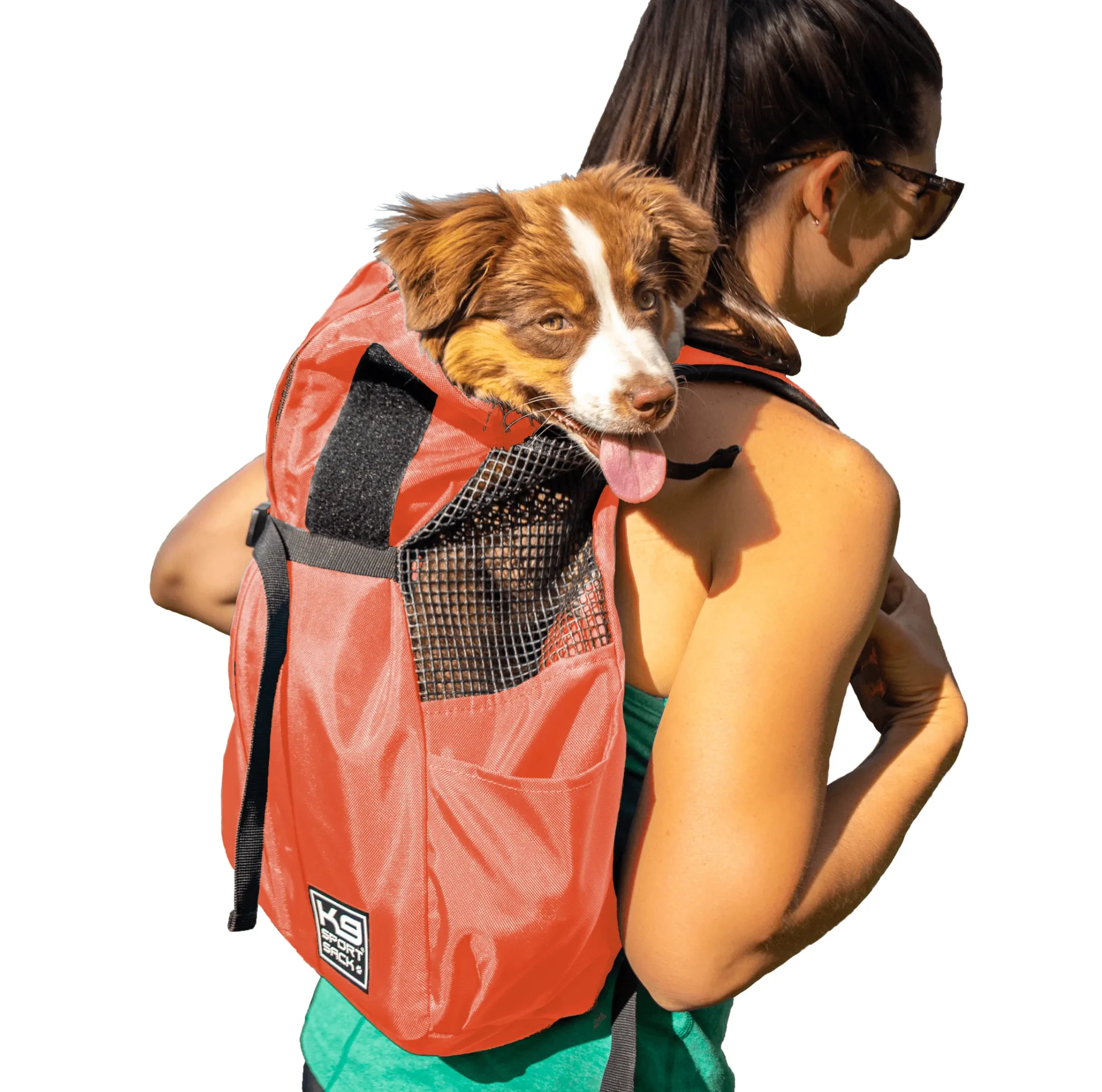 Trainer | Puppy & Small Dog Carrier - Iron Gate